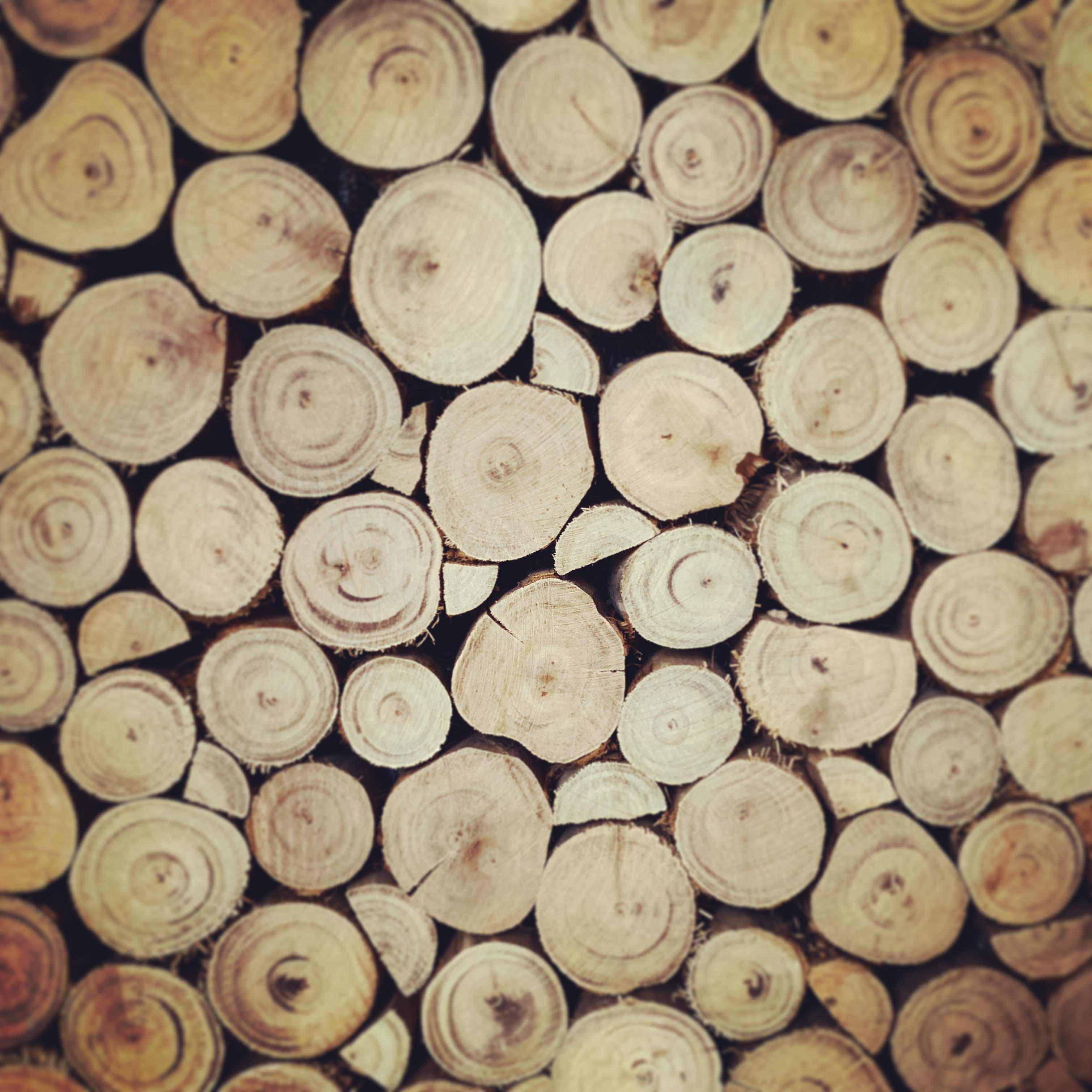 face cut of stack logs